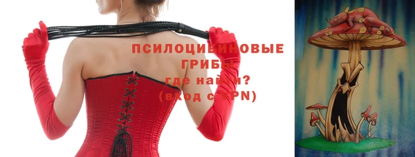 не бодяженный Белокуриха